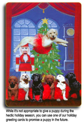 Promise the future arrival of a new family member with one of our holiday greeting cards.
