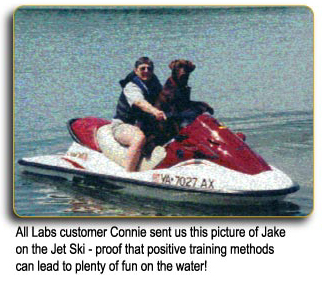 All Labs customer Connie sent us this picture of Jake on the Jet-Ski!