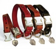 Collars and Leads