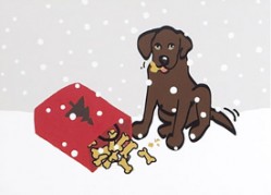 Lucky Dog Holiday Cards